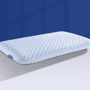 SofGlowly Ultra Thin Flat Pillows f...