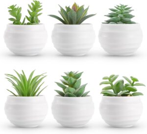 Der Rose 6 Pack Succulents Fake Pla...
