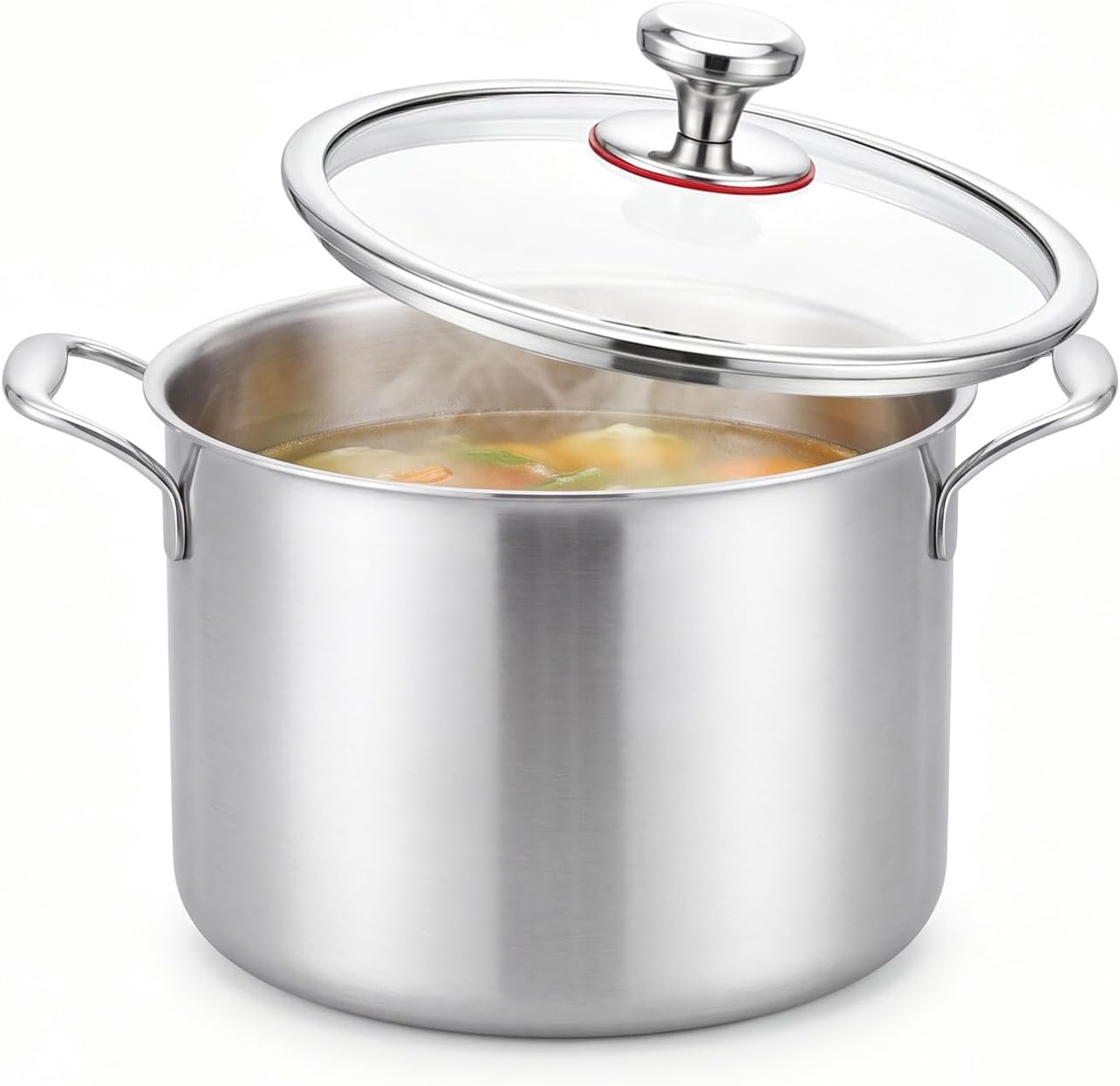 Ptaciow 8 Quart Titanium Soup Pot,Pure Healthy Titanium Pots for Cooking | No Coating Stock Pot with Lid Induction All Stovetops,Large Capacity Cooking Pot for Soup,Pasta Sturdy & Double Handle