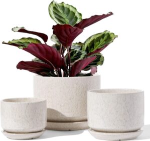 LE TAUCI Ceramic Plant Pots, 4.3+5....