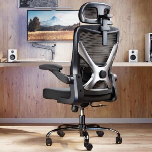 Ergonomic Office Chair: Mesh Desk C...