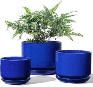 LE TAUCI Ceramic Plant Pots, 4.3+5....