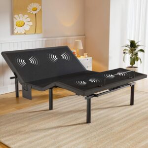 Amada Queen Adjustable Bed Frame wi...