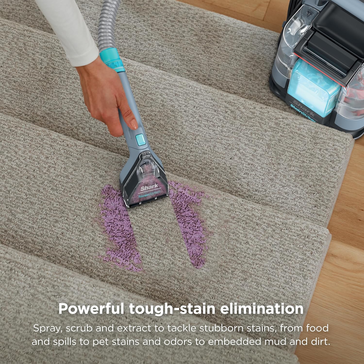 Shark StainStriker Portable Carpet/Upholstery Cleaner, 4 Tools, PX202 | For Carpet, Upholstery & Area Rugs, Stain & Odor Remover, Full Size Solutions, 3.5" Stain, 7" Stain, Crevice & Pet Mess Tools - Image 4