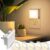L LOHAS LED Night Light,Night Lights Plug into Wall, Dusk-to-Dawn Sensor | Plug in Night Light,3000K Soft White 0.3W Bright Nightlight Auto-On/Off for Kids Bedroom Bathroom Hallway [6-PACK]