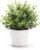 Coferset Small Fake Eucalyptus Potted Plants,Plastic Pot | 7.45″ Artificial Faux Potted Greenery Plant for Bedroom Living Room Bathroom Shelves Farmhouse Table Office Desk Home Decor