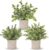 Der Rose 3 Pack Fake Plants Artificial Plants for Office Bathroom Decor | Sage green frosted eucalyptus, pet and child safe, maintenance-free, desk shelf kitchen bedroom coffee table farmhouse decor